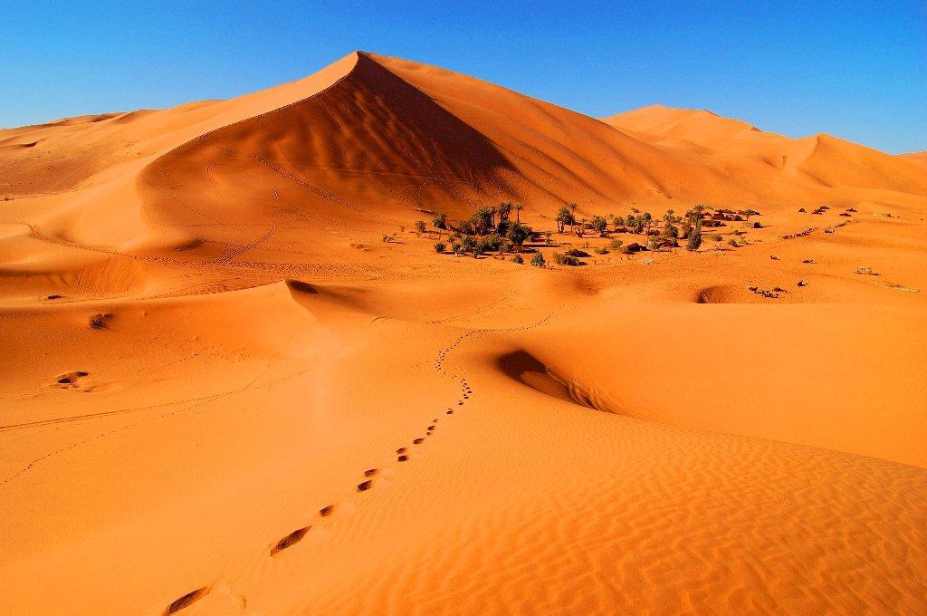 Riad Desert Camel Мерзуга Экстерьер фото