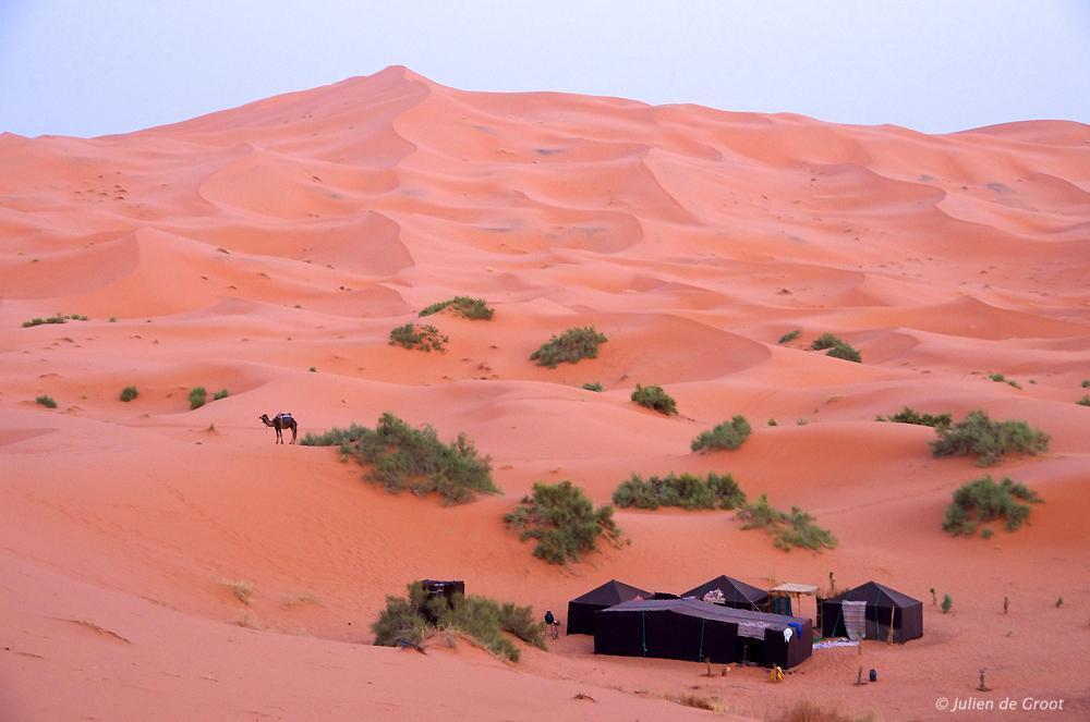 Riad Desert Camel Мерзуга Экстерьер фото