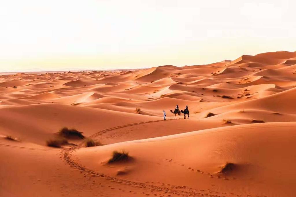 Riad Desert Camel Мерзуга Экстерьер фото